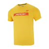 AMBER YELLOW