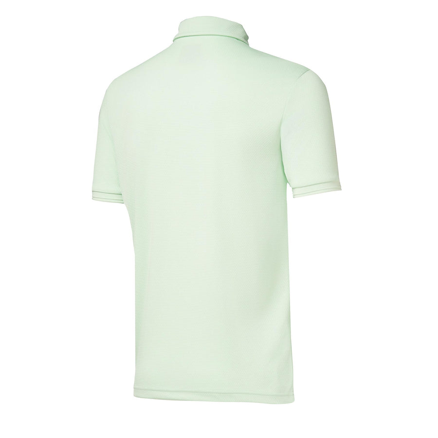 BIRD'S EGG GREEN