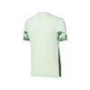 BIRD'S EGG GREEN