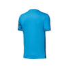 BRILLIANT BLUE