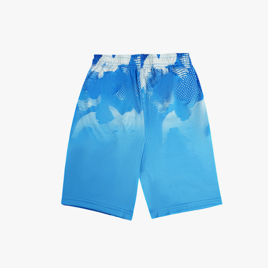 HERITAGE BLUE