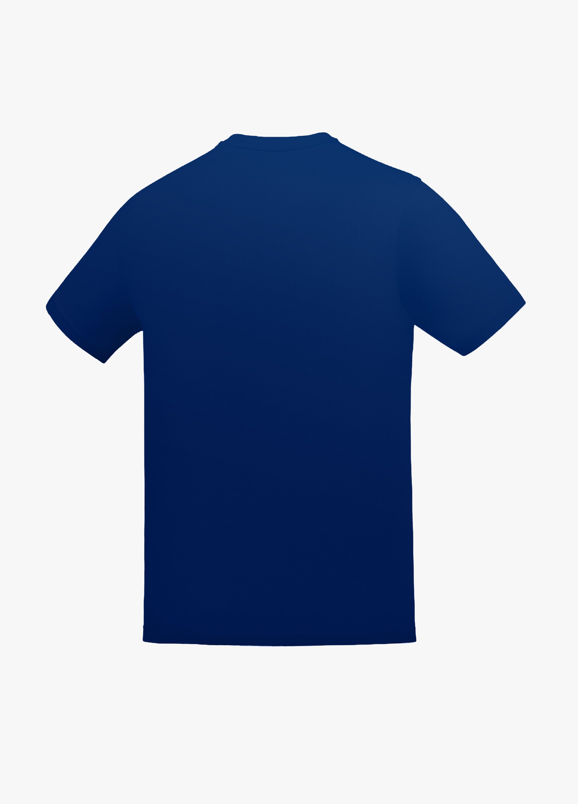 NAVY PEONY