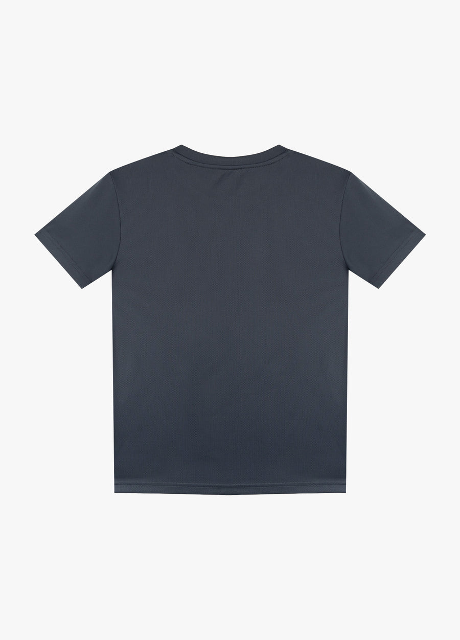 ODYSSEY GRAY
